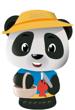 Bao