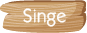 Singe